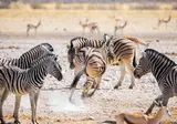 Perfect Match Namibia and Botswana foto 2