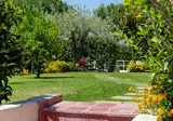 Collina foto 20