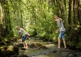 Camping Nature Parc Saint Hubert foto 3