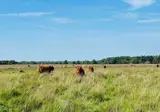Grenzeloos Slapen-Eten-Beleven foto 32