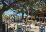 Domaine La Franqui foto 16
