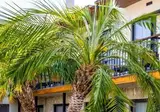 Khai Hotel Bodrum foto 25