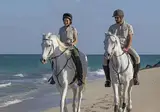 Desert Islands Resort & Spa by Anantara foto 13