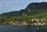 Whales, Bears and Vancouver Island foto 5