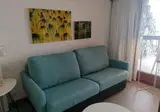 Buganvilla foto 22