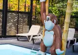 Vakantiepark De Rimboe en De Woeste Hoogte foto 47