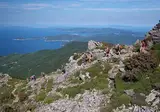 Scaglieri foto 19