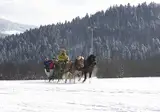 Kerst en Oud en Nieuw in Karinthië, Gmünd foto 29