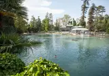 Villa dei Cedri foto 9