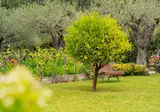 Appartementen Residence Villa Collina foto 7