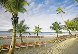 Viva Wyndham Dominicus Palace foto 14