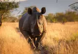 Tanzania Compleet foto 2