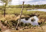 Park De Zeegser Duinen foto 5