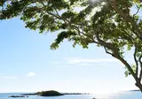 Radisson Blu Azuri Resort & Spa foto 11