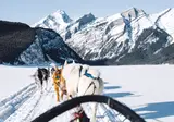 Winterbelevenis Canada op het gemak foto 15