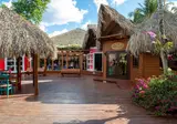 Viva Dominicus Palace by Wyndham, A Trademark All Inclusive foto 6