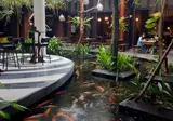 Swiss-Belhotel Rainforest foto 2