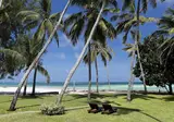 Neptune Paradise Beach Resort & Spa foto 25