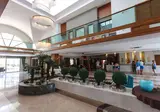 Seher Sun Palace Resort & Spa foto 18