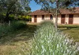Il Bagolaro foto 12