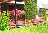 Club Sidar Hotel foto 20