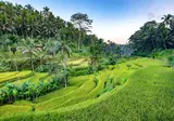 Rondreis Veelzijdig Java & Bali foto 1