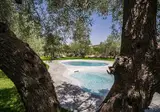 Masseria degli Ulivi foto 4