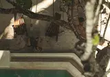 Ether Tulum foto 1