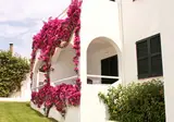 Hotel Apartamentos Playa Parc foto 10