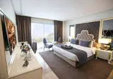 Suite Hotel Casa Diamond foto 23