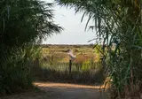 Camping Les Sablines foto 27