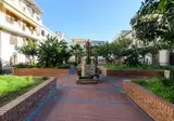 Le Tartarughe Mare foto 5