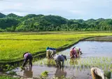 Ontdek Lombok foto 3