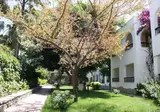 Hotel Toloman foto 21