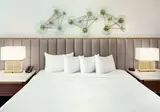 Hilton Marco Island Beach Resort and Spa foto 3