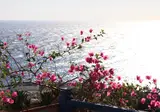Aegean View Hotel foto 4