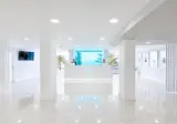 BlueSea Interpalace foto 3