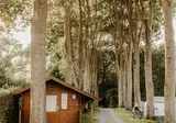 Camping De Meidoorn foto 11