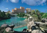 The Coral at Atlantis foto 5