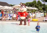 Camping hu Park Albatros Village foto 7
