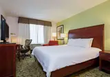 Hilton Garden Inn Queens/JFK Airport foto 15