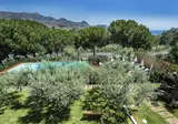 Collina foto 21
