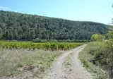 Camping De L Olivigne foto 13