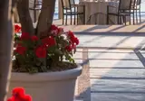 Divani Apollon Palace & Thalasso foto 9