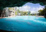 Delta Hotels by Marriott Orlando Celebration foto 9