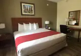 Best Western Jamaica Inn foto 27