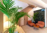 Hotel Hippocampus foto 6