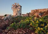 Villa Anemomilos foto 26
