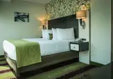 Best Western Premier Herald Square foto 11