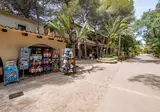 Playa Bara foto 9